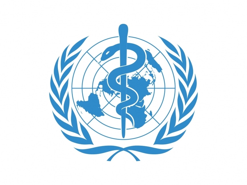 World Health Organization ICD-11